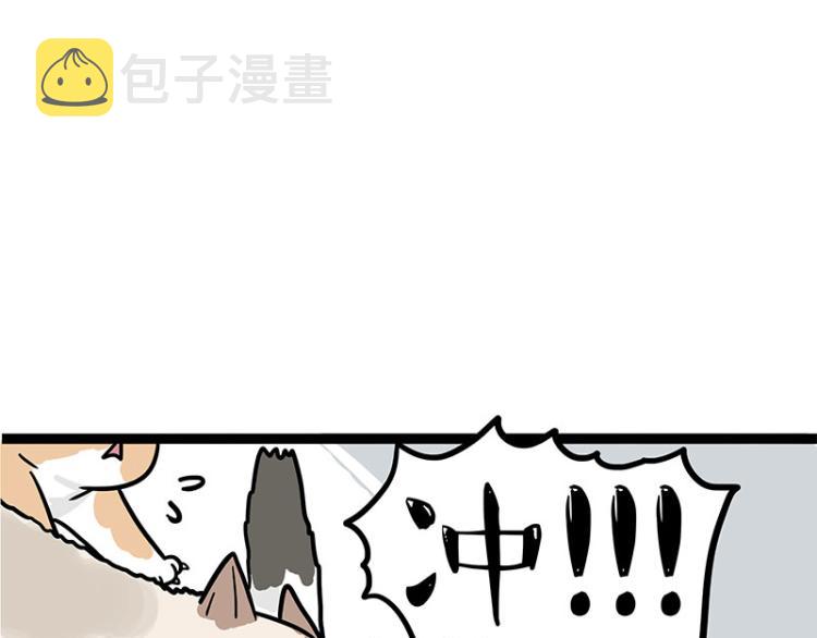 第290话 凶恶猫猫组织26