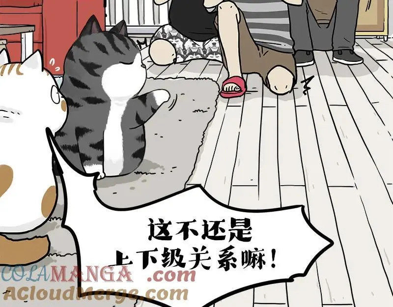 第409话 吾皇改名了？33