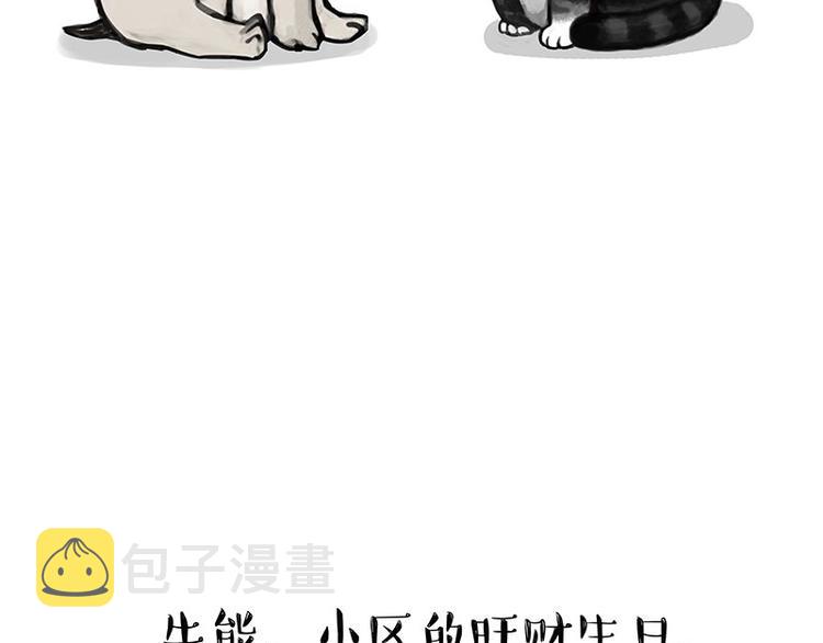 第126话 巴扎黑你什么都不懂3