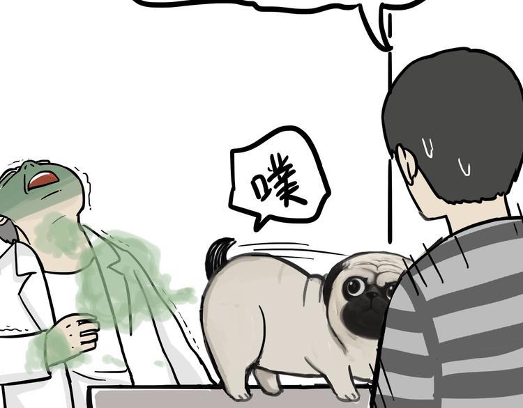 第78话 带宠物看病（上）18