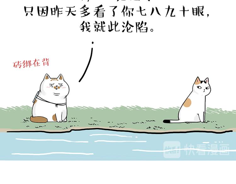 第238话 吾皇的爱情“喵”招22