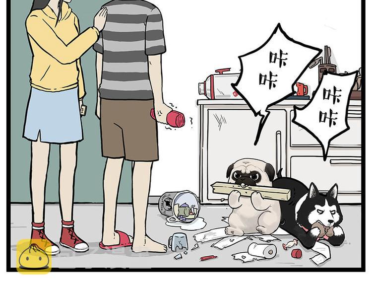 第280话 狗上学15