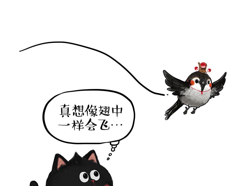 第343话 喵生哲学0