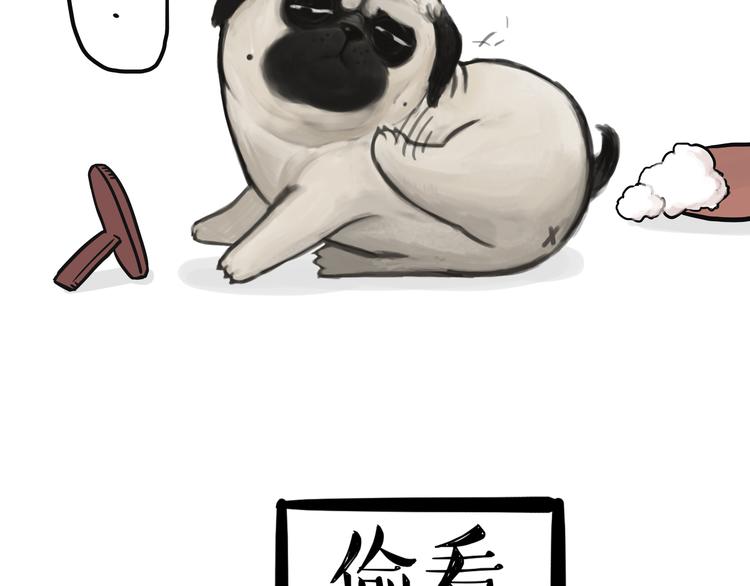 第75话 猫奴被嫌弃了13