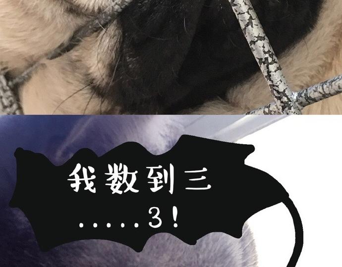 第26话 犯错你会卖萌求原谅吗18