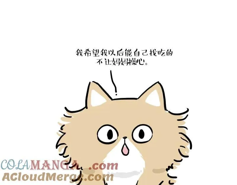第424话 话痨小猫30