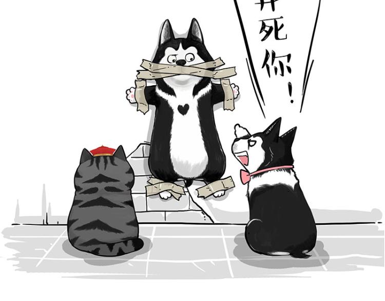 第288话 冒牌货，拿来吧你！63