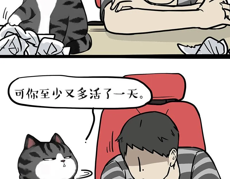 第391话 开心就好18