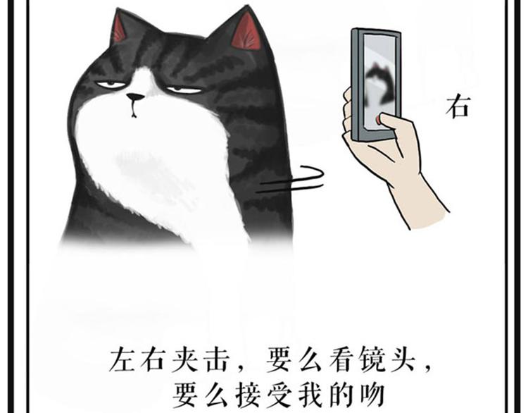第37话 今天，你优雅了吗31