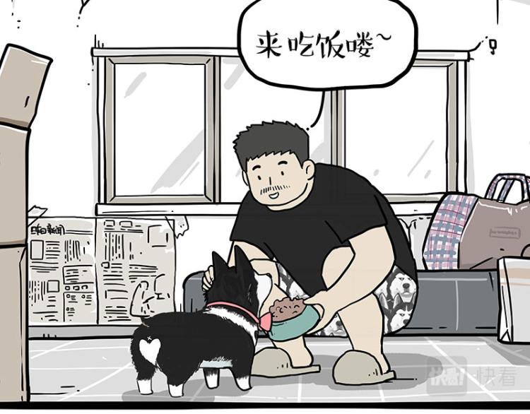 第288话 冒牌货，拿来吧你！2