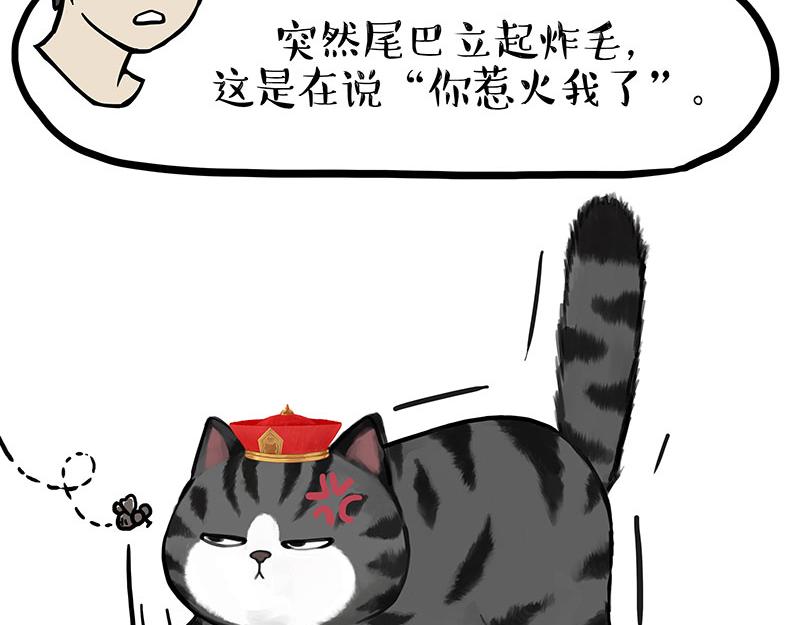 第340话 自我攻略21
