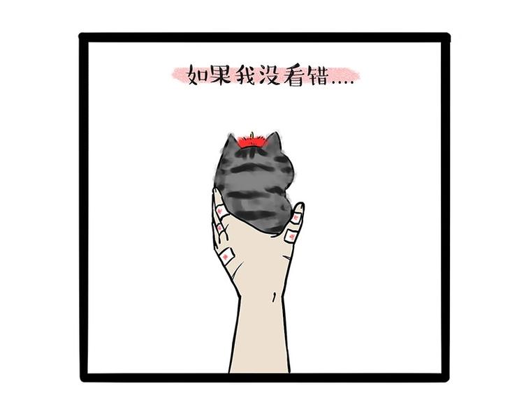第188话 收破烂也不收你礼物9