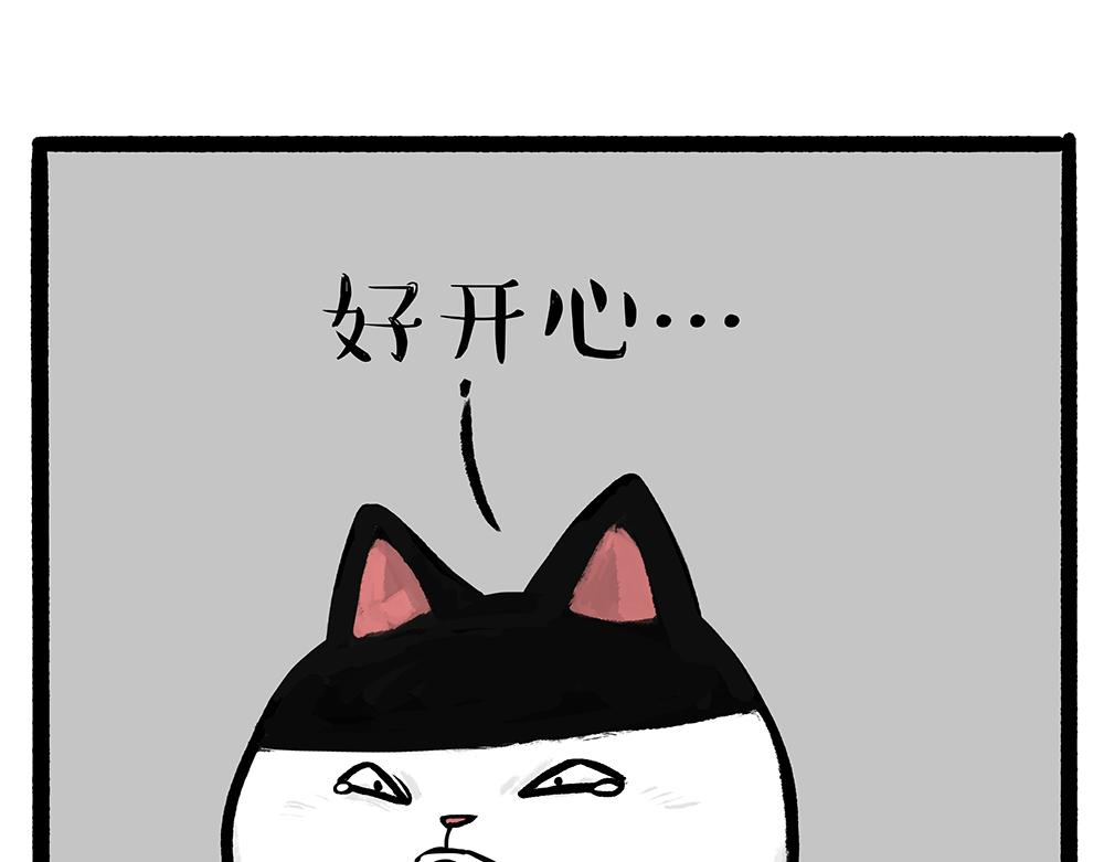 第331话 猫王争霸之“杀青”46