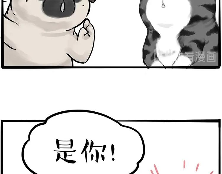 第197话 猫怼狗22