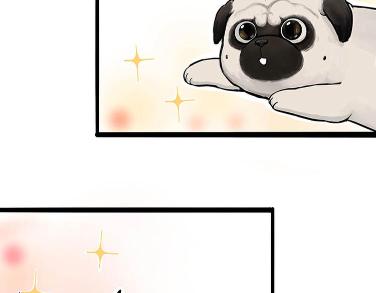 第247话 巴扎猪51