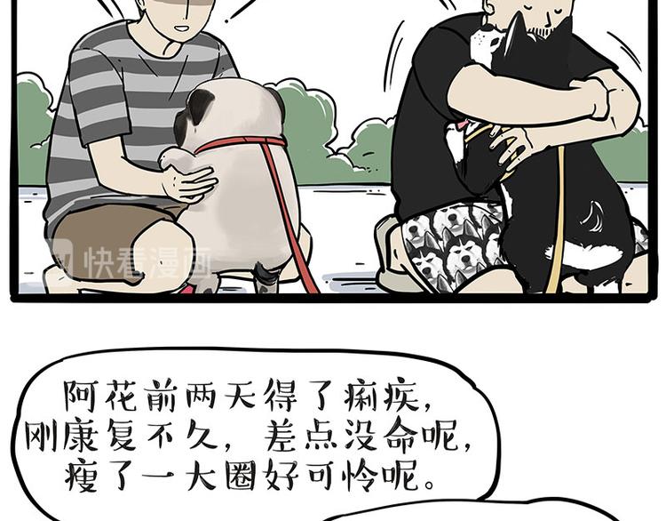 第223话 狗知识增加了37