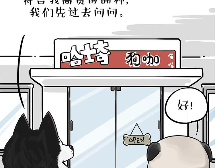 第194话 生活不易，猫狗打工3