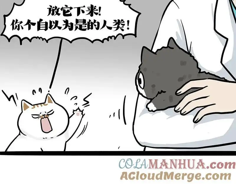 第402话 送走！所有！15