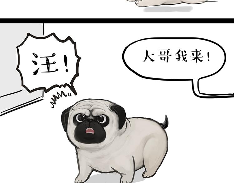 第119话 叛逆期11