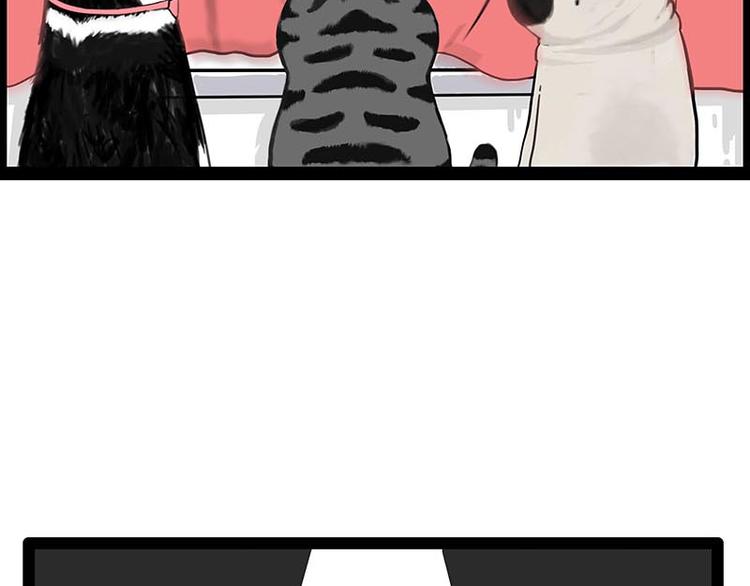 第243话 社会性死亡51