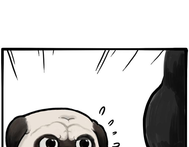 第288话 冒牌货，拿来吧你！46