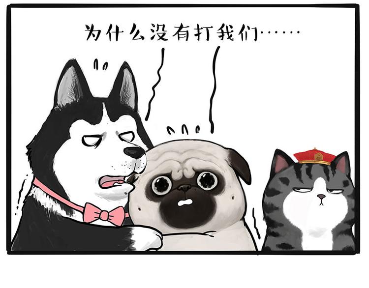 第220话 拆家没怕过谁61