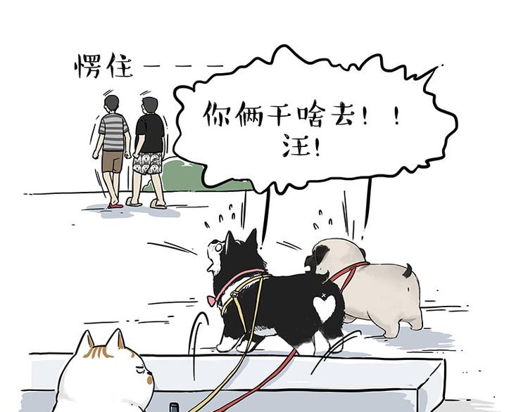 第223话 狗知识增加了16