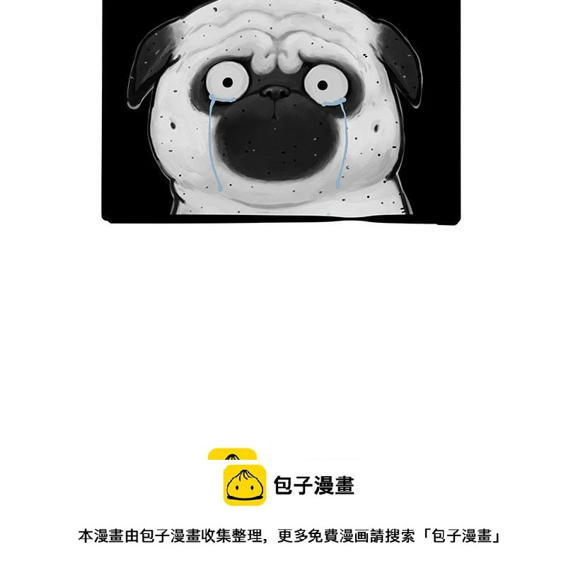 第369话 老天爷的答案40