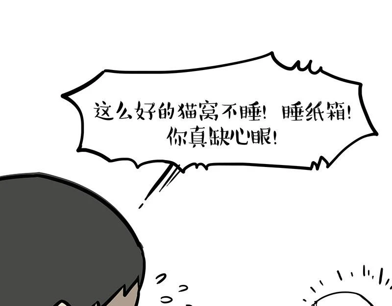 第364话 万一呢？21