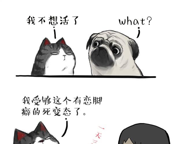 第13话 不想理这个恋脚癖6