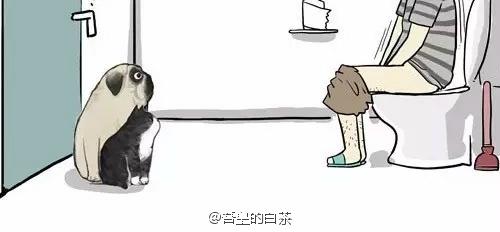 第24话 为什么上厕所要偷看18