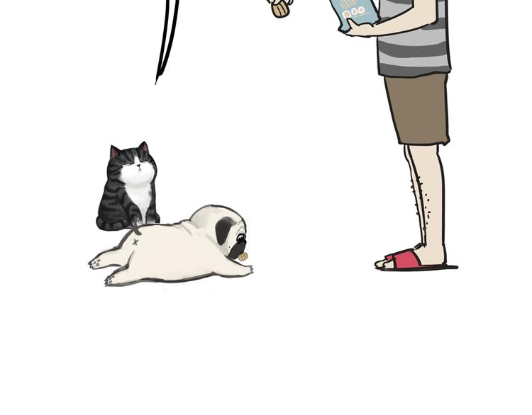 第42话 猫奴的“幸福”19