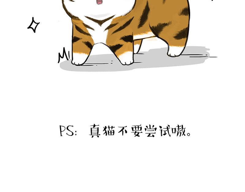 第312话 来点年味46