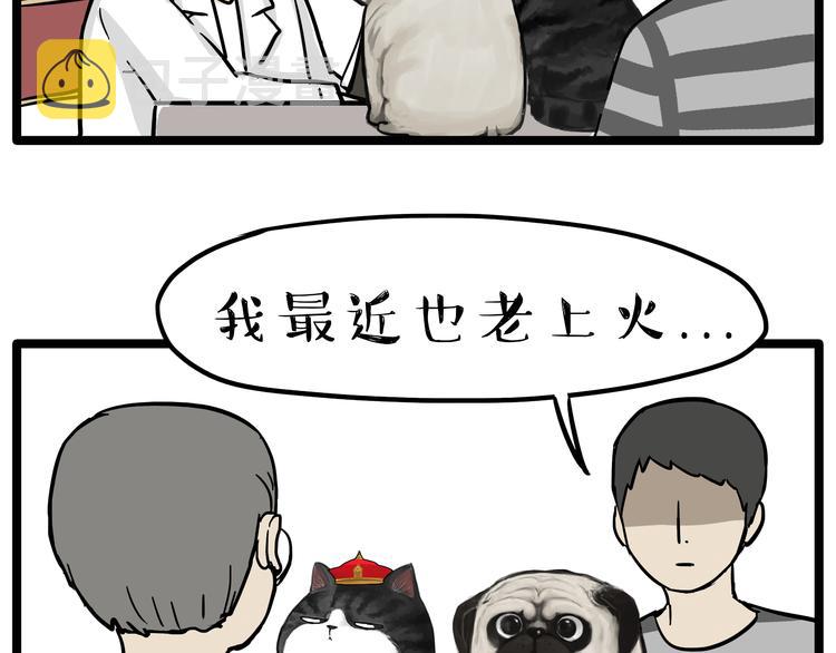 第79话 带宠物看病（下）9
