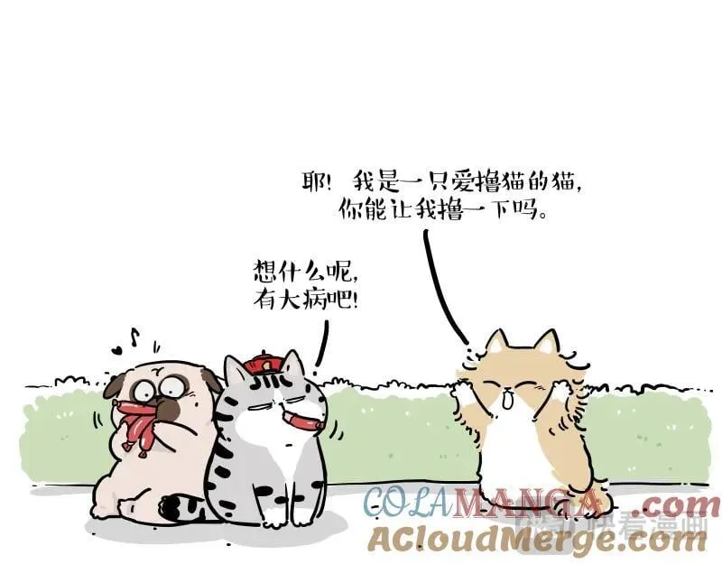 第424话 话痨小猫12