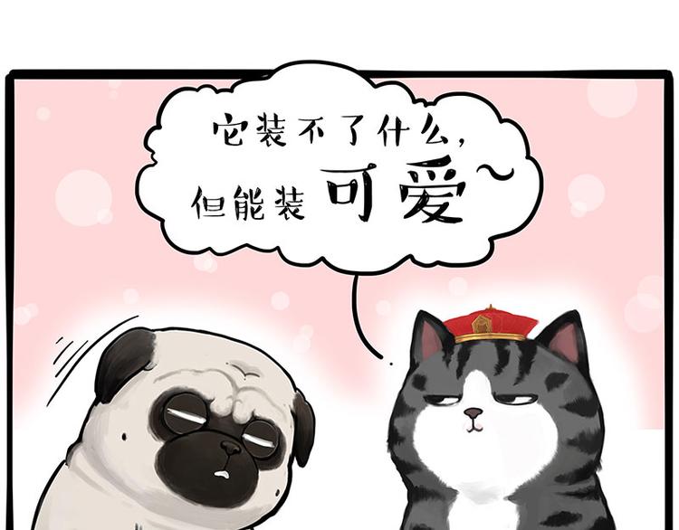第233话 你太飘了5