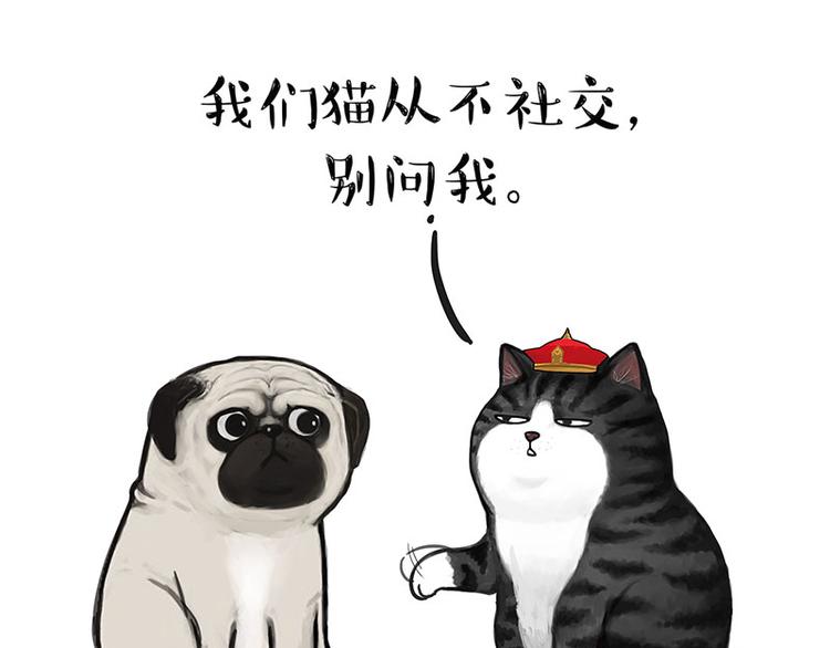 第126话 巴扎黑你什么都不懂2