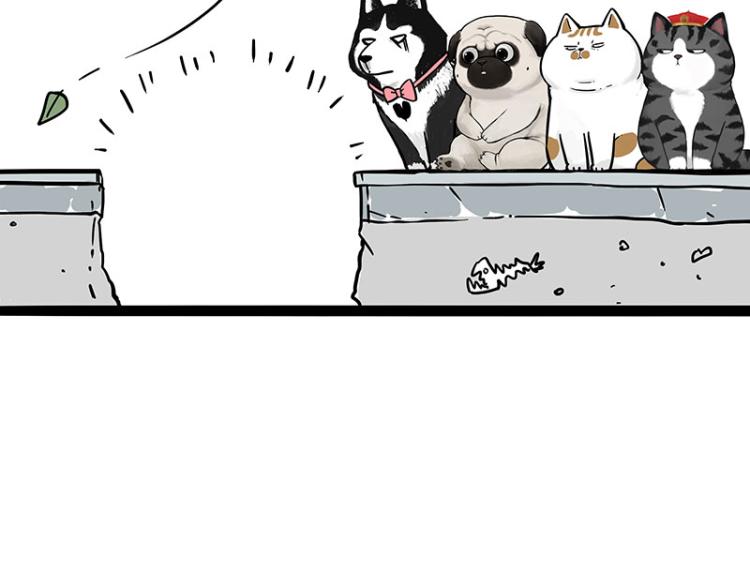 第294话 教狗游泳难度爆棚40