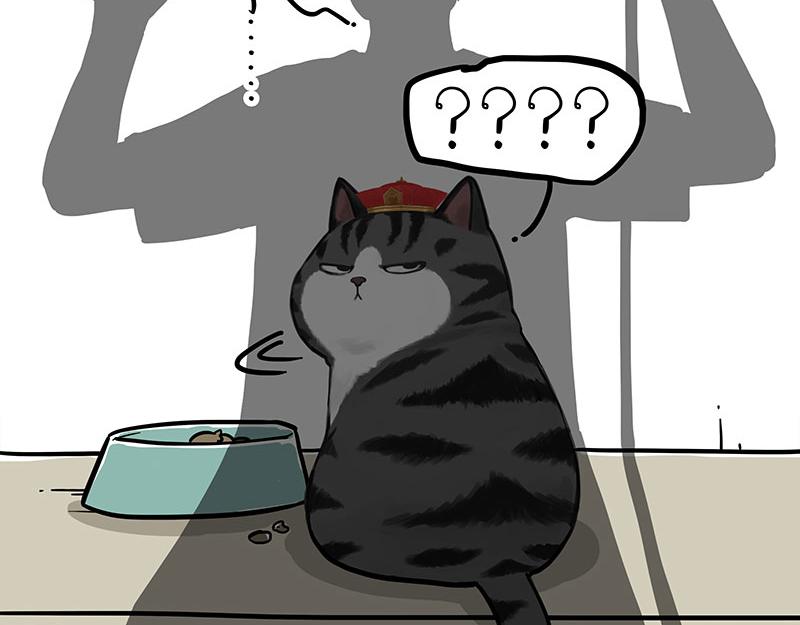 第296话 披着虎皮的猫16