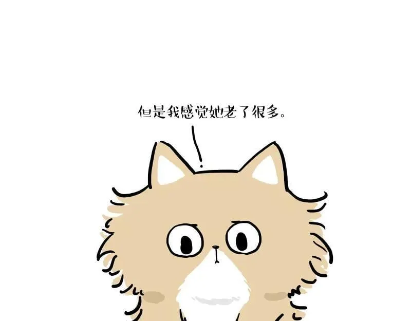 第424话 话痨小猫28