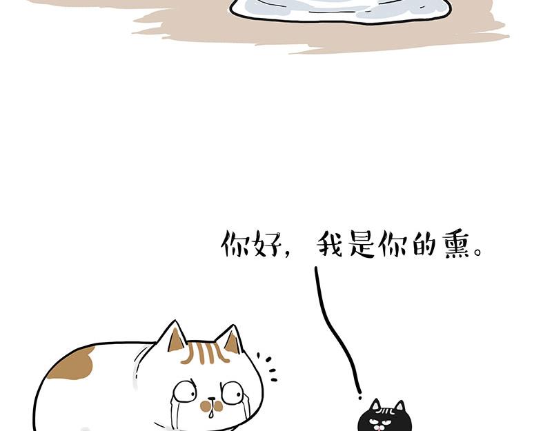 第303话 你有“熏”吗？22