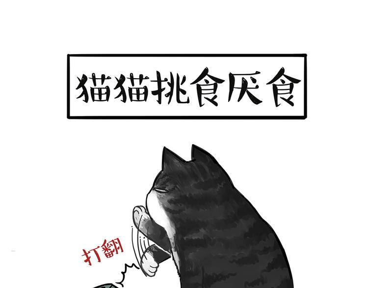 第51话 猫和狗的待遇就是不同27