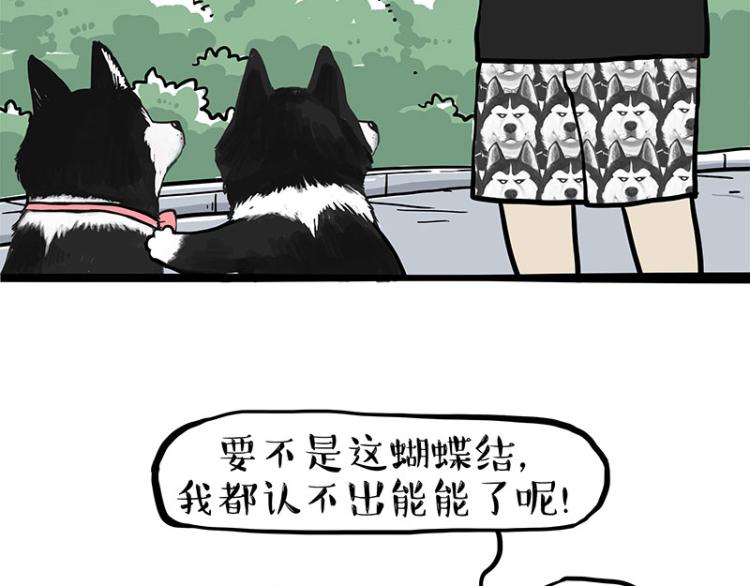 第287话 真假牛能？！49
