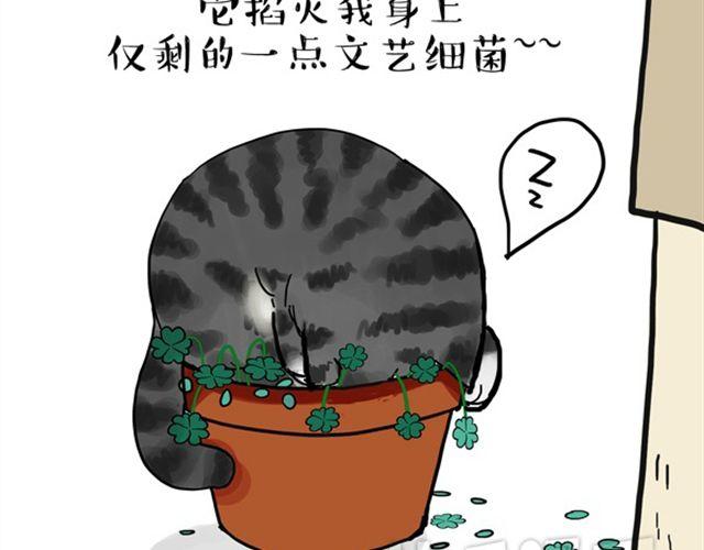 第15话 猫引发的朋友圈惨案19