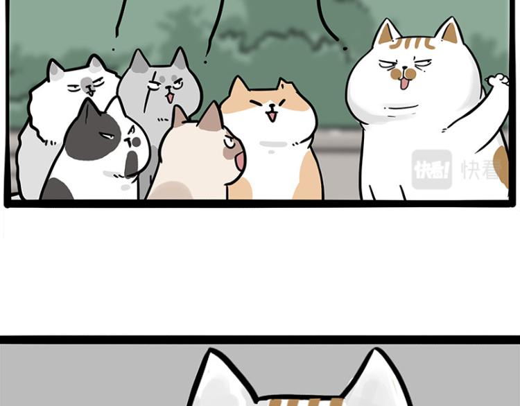 第290话 凶恶猫猫组织67