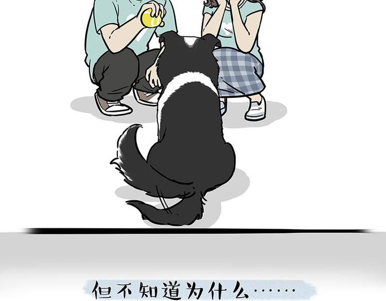 第207话 巴扎黑丢了？！50