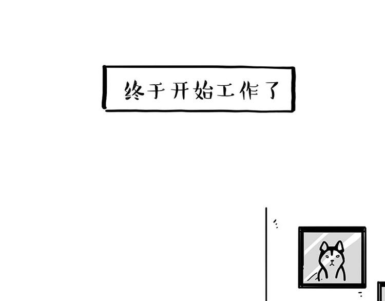 第194话 生活不易，猫狗打工19