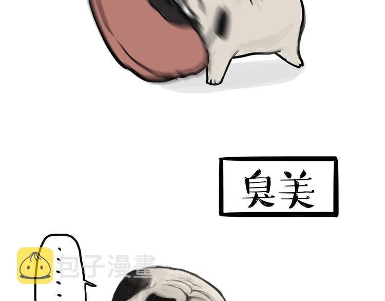 第75话 猫奴被嫌弃了12