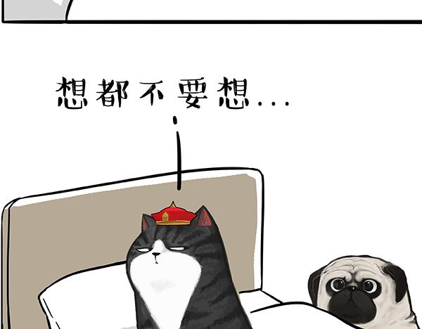 第73话 你才是肥仔嘞14