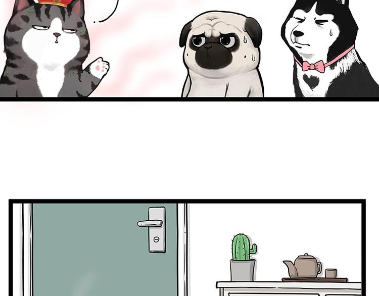 第284话 美喵竟是我自己5